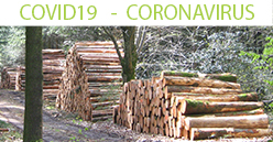 COVID19 – Les Coopératives Forestières: le bois français dans le plan de relance
