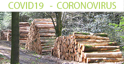COVID19 : Les Coopératives Forestières veulent le bois français dans le plan de relance du pays