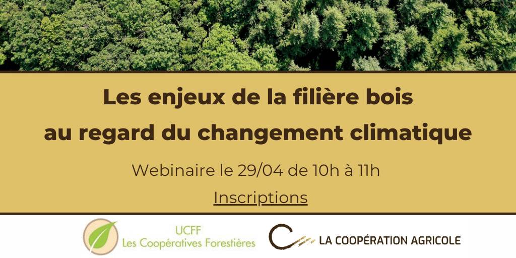 Webinaire LCA-UCFF la filière forêt-bois et le changement climatique