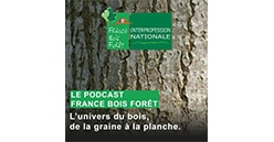 Podcast les coopératives forestières engagées face au changement climatique