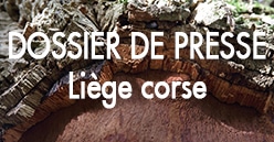 Le liège corse : un produit écologique qui valorise le patrimoine forestier insulaire
