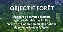Le rapport « Objectif Forêt » pour adapter les forêts au changement climatique