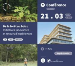 Conférence UCFF – CNDB : Les innovations en forêt et sur le matériau bois